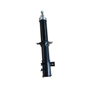 Custom Shock Absorber